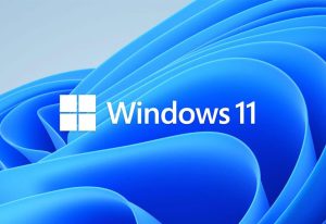 windows 11