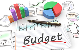 it budget